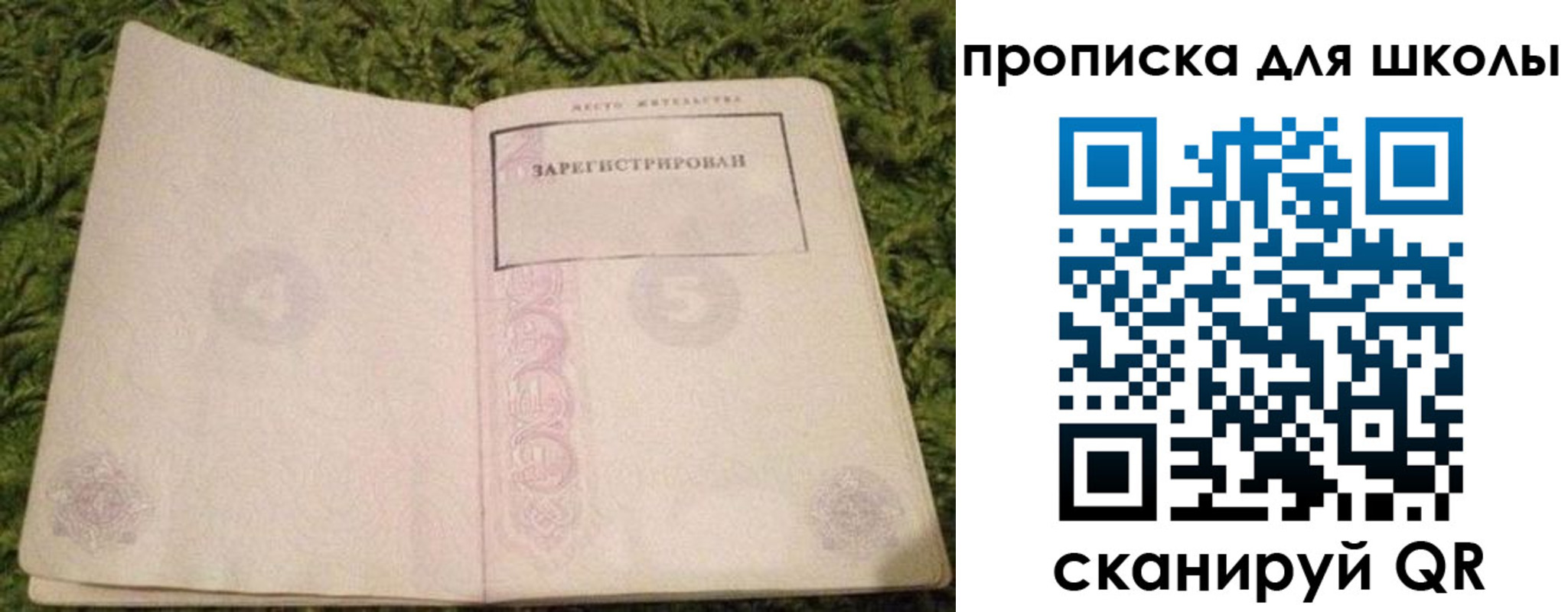 регистрация для школы в Сланцах